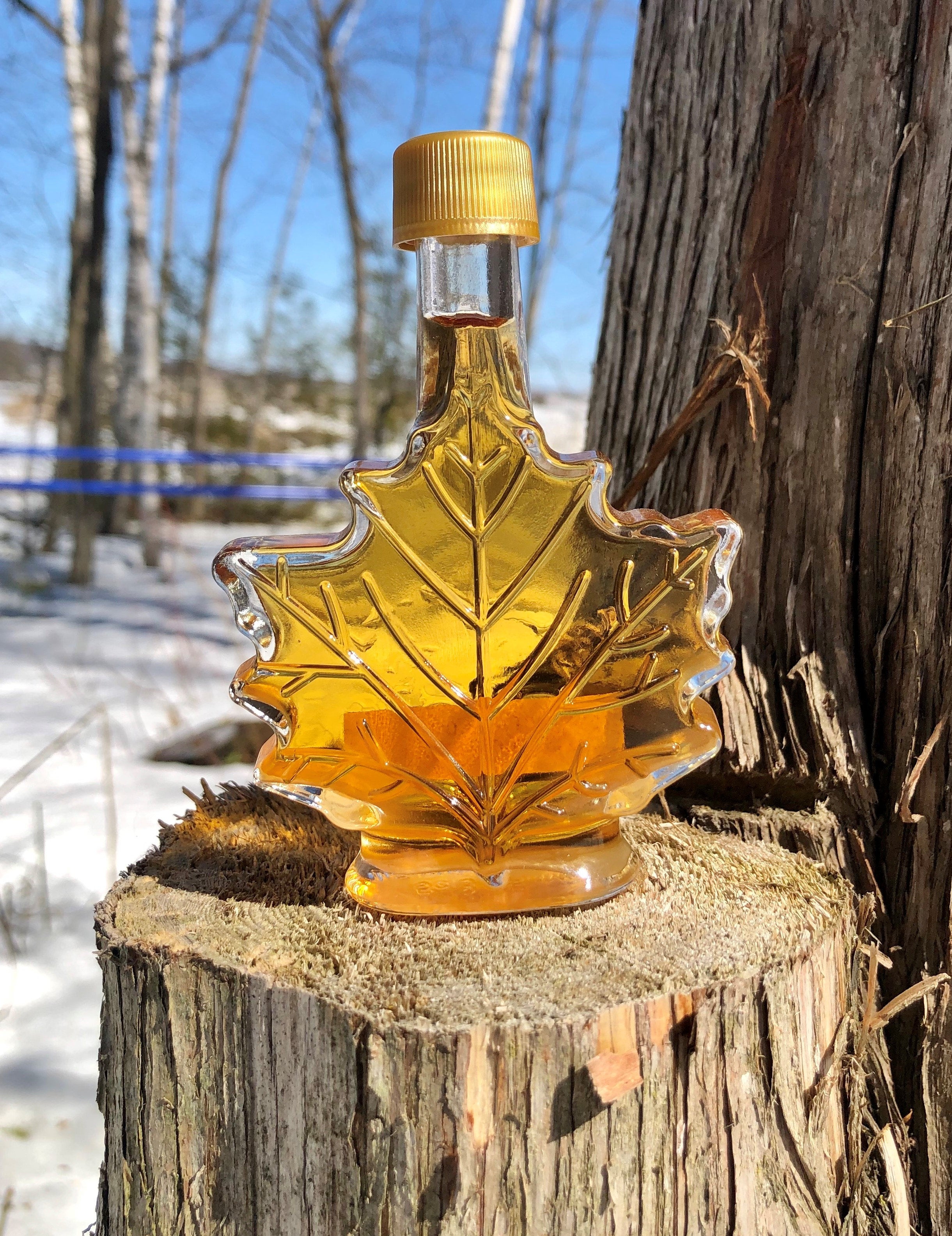Sirop feuille d'érable (Maple leaf maple syrup bottle)